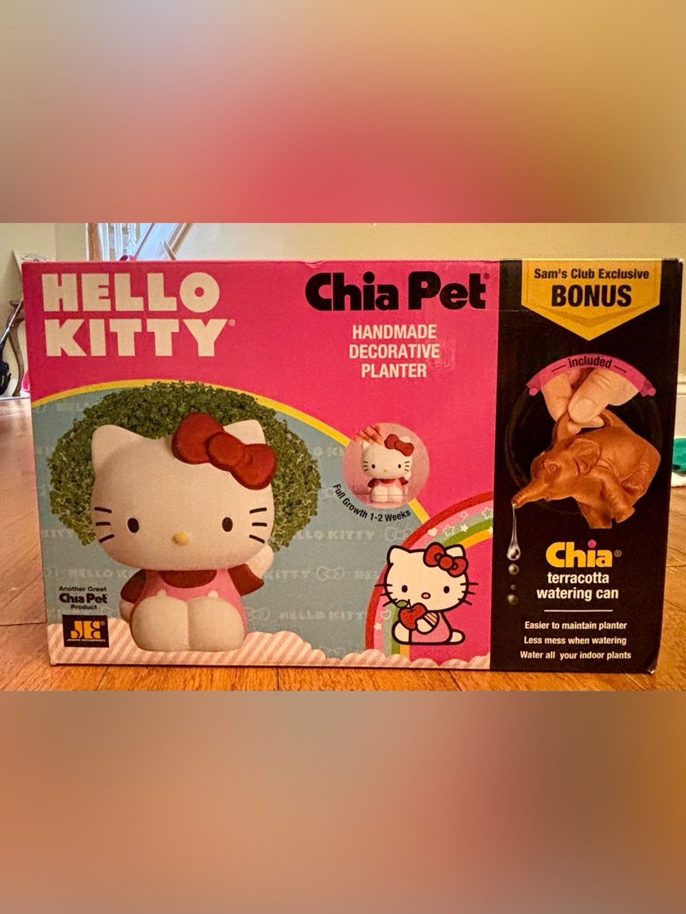 NEW Hello Kitty Chia Pet Decorative Planter with Terracotta Watering Can